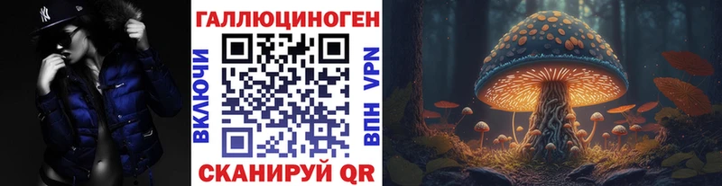 наркота  Котовск  Псилоцибиновые грибы ЛСД 